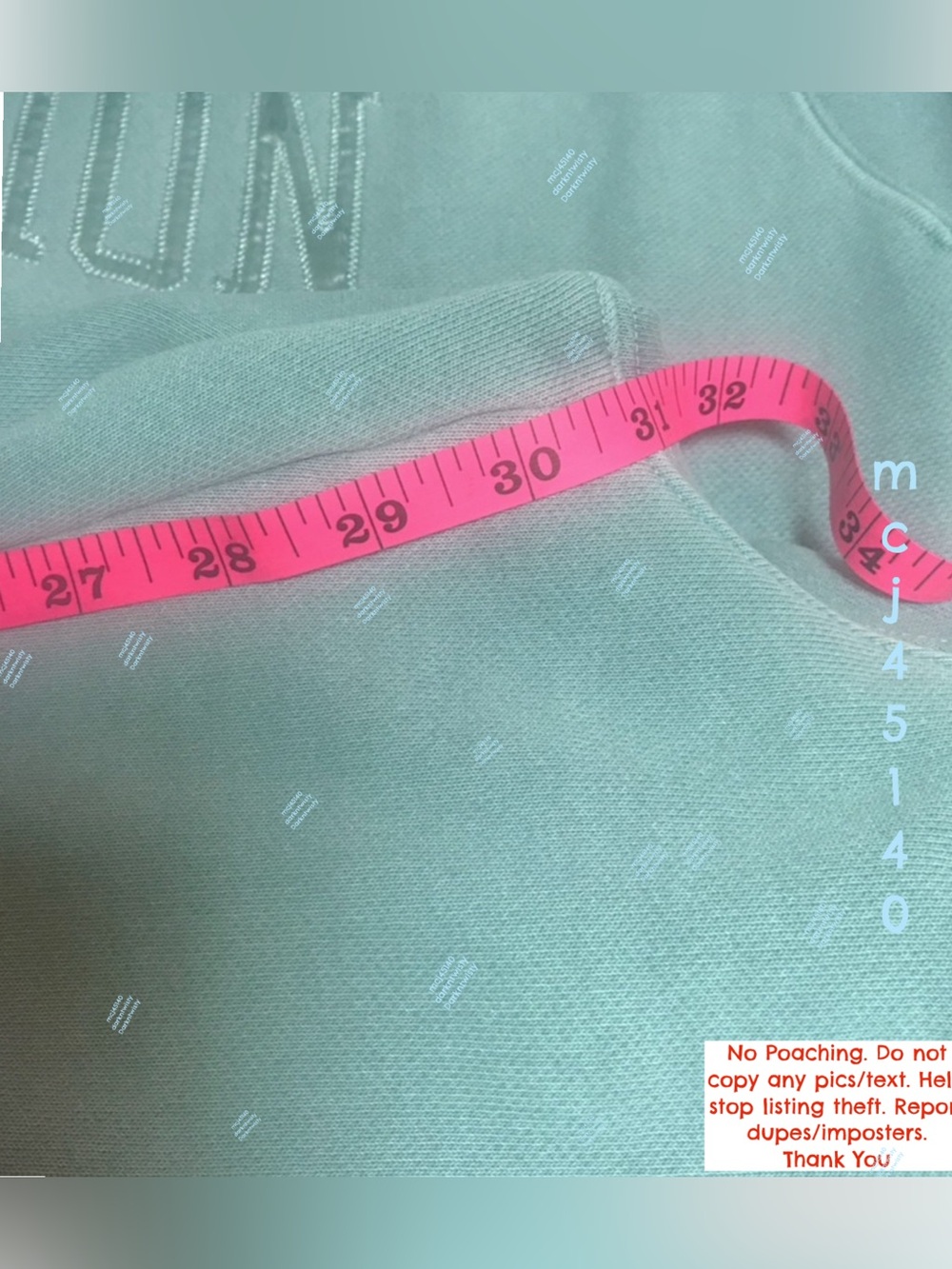 BNWT Urban Outfitters Lim Ed. Champion RW Set Excl Lim Ed M Hoodie, M Pants NWT - Picture 11 of 14